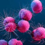 Understanding Gonorrhoea: Causes, Symptoms, and Prevention